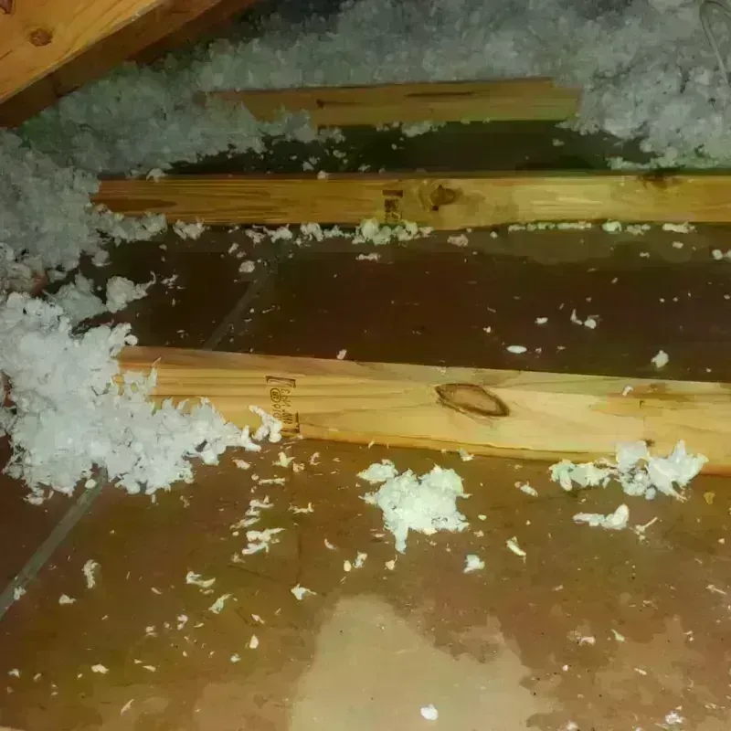 Attic Water Damage in Mars Hill, NC